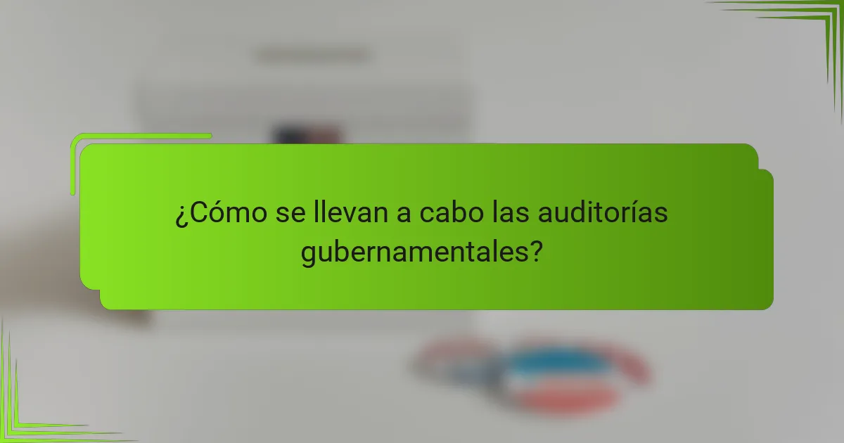 ¿Cómo se llevan a cabo las auditorías gubernamentales?