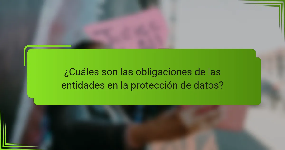 ¿Cuáles son las obligaciones de las entidades en la protección de datos?