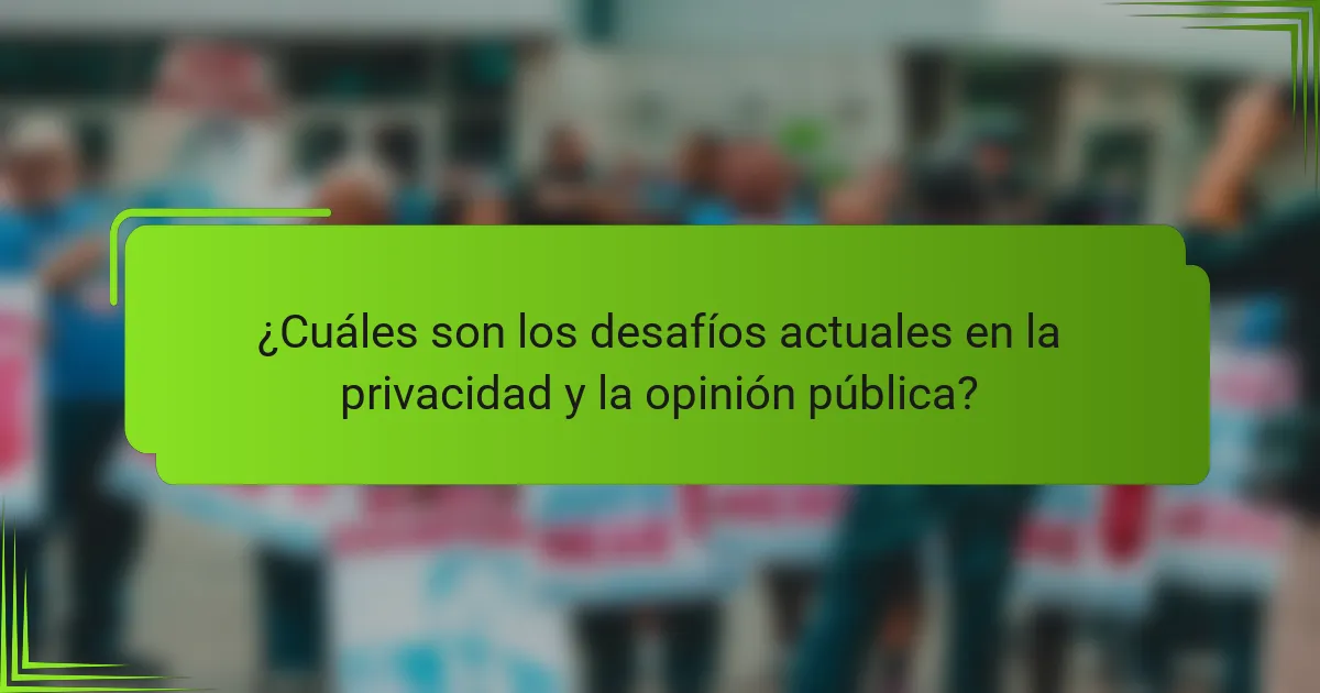¿Cuáles son los desafíos actuales en la privacidad y la opinión pública?