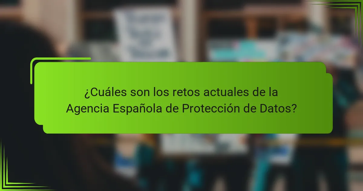 ¿Cuáles son los retos actuales de la Agencia Española de Protección de Datos?