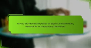 Acceso a la información pública en España: procedimientos, derechos de los ciudadanos y limitaciones