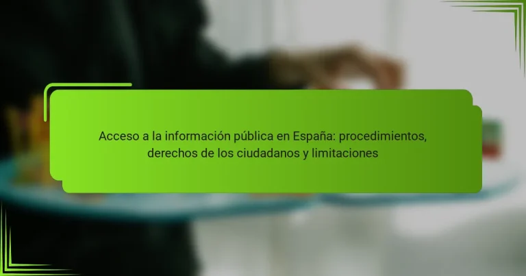 Acceso a la información pública en España: procedimientos, derechos de los ciudadanos y limitaciones