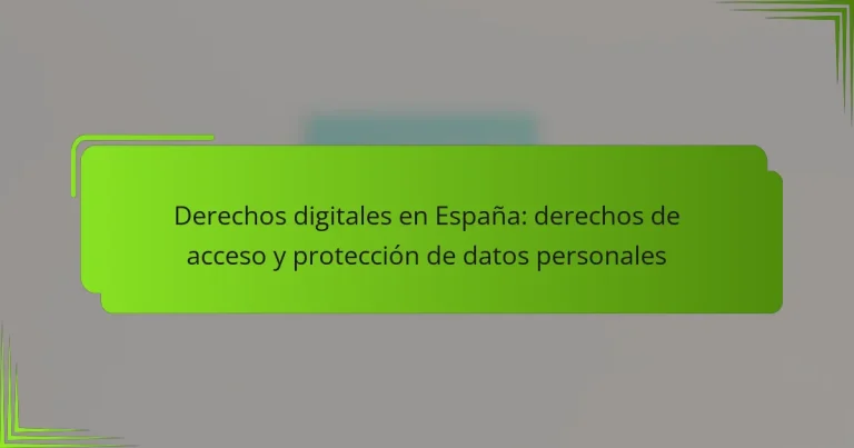Derechos digitales en España: derechos de acceso y protección de datos personales