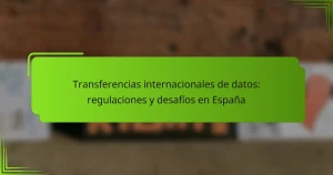 Transferencias internacionales de datos: regulaciones y desafíos en España